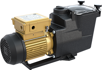 swimming pool pump